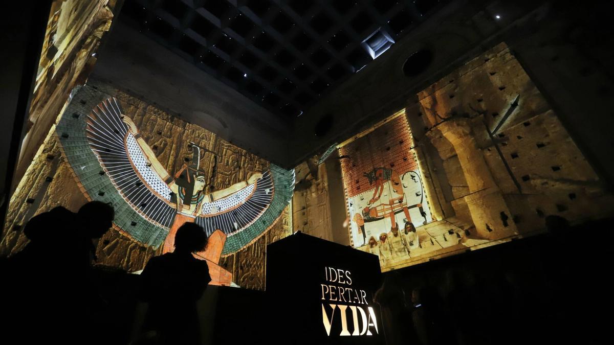 La exposición 'El despertar a la vida'.