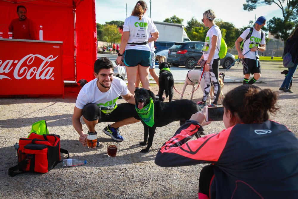 Can We Run Mallorca: So war das Hunderennen