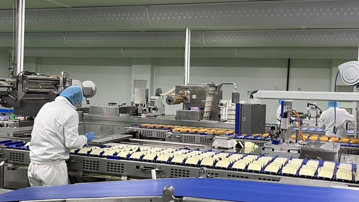 Línea de producción en una quesería de la provincia de Zamora. | ARCHIVO