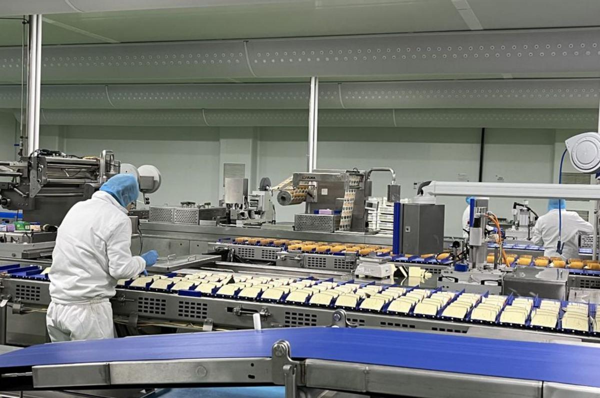 Línea de producción en una quesería de la provincia de Zamora. | ARCHIVO