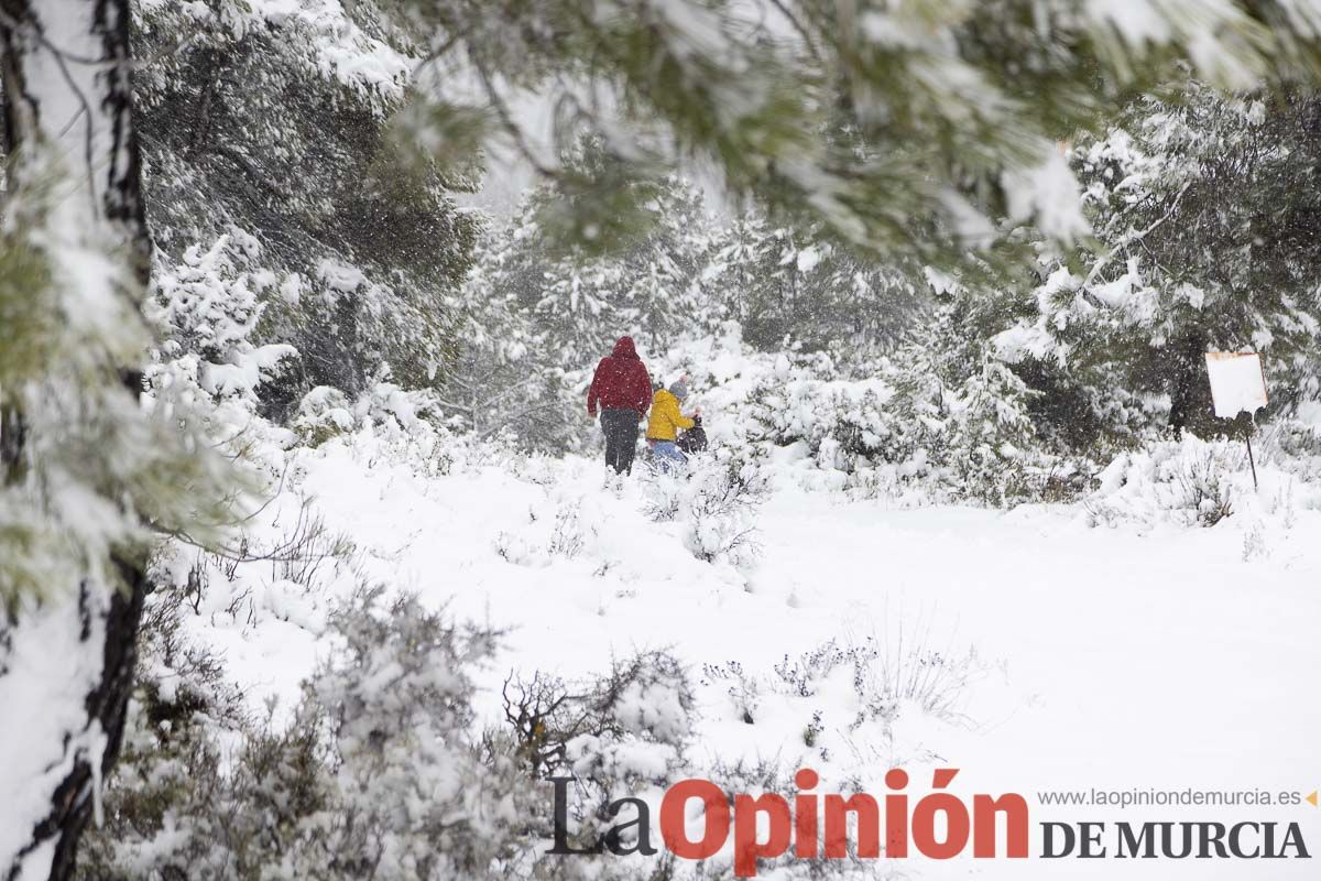 Continúa la nevada en las zonas altas de la comarca del Noroeste