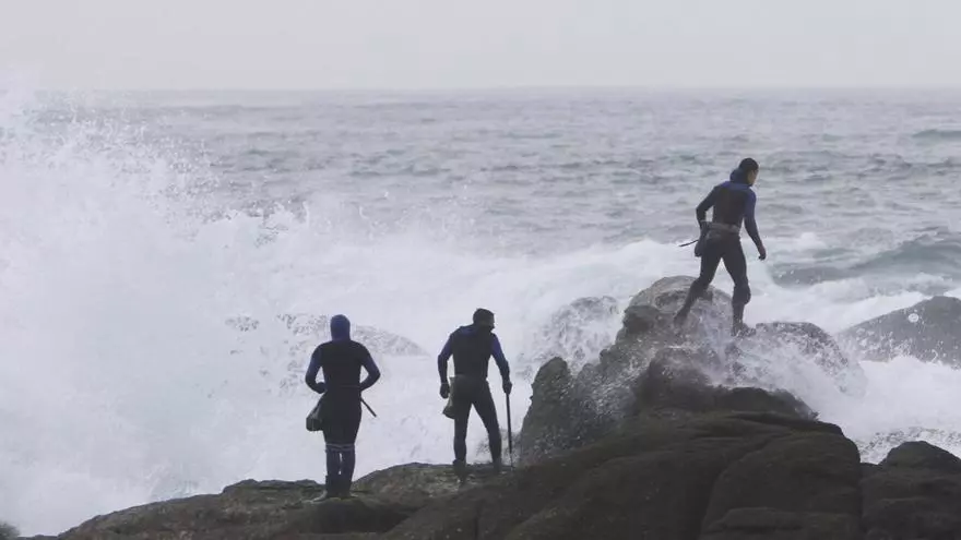 Los percebeiros de Bueu, ahogados por la dramática escasez de recurso