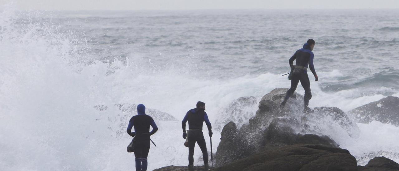Los percebeiros se ahogan: la falta de capturas los aboca a un nuevo paro