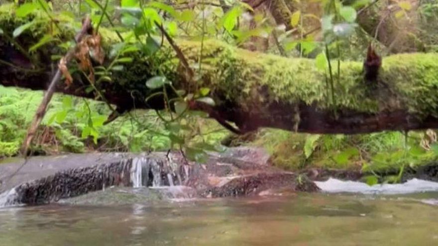 La mágica ruta que no puedes perderte en Galicia: una espectacular cascada y unas vistas de ensueño