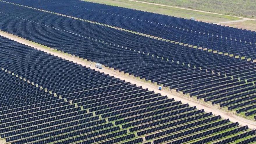 Greenalia eleva un 20% sus ingresos ordinarios, hasta los 61 millones, sale de «números rojos» y focaliza su cartera en EE UU