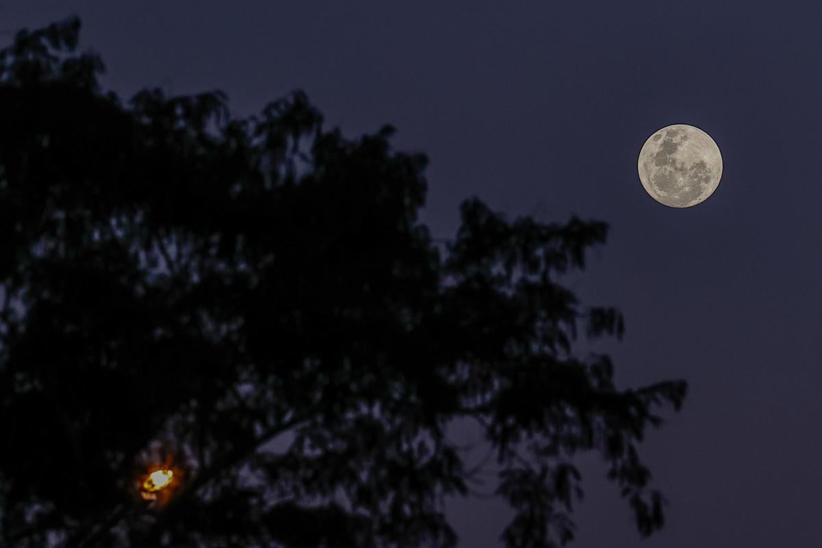 La Superluna de ciervo, vista desde el Parque Nacional de Iguazú, en Argentina