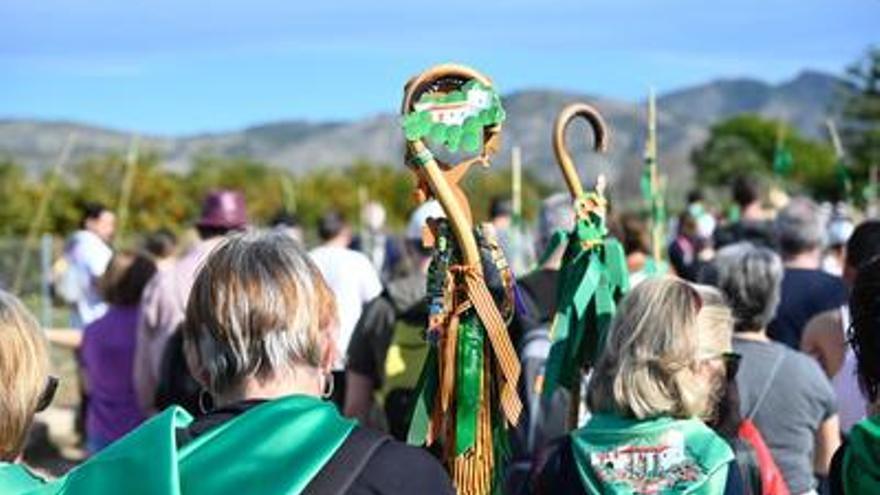 Romeria a la Magdalena 2024: dónde aparcar, el transporte público, las ambulancias