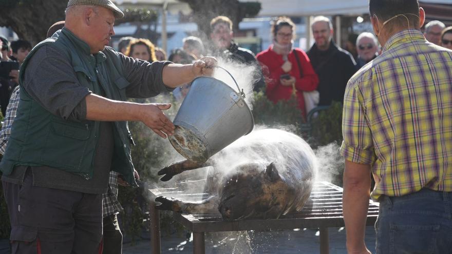 Alcaracejos celebra la matanza tradicional del cerdo