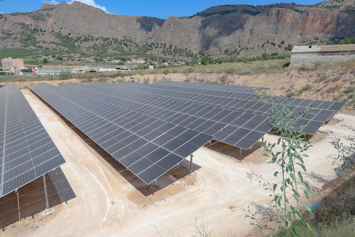 Placas solares en una zona rural de Orihuela
