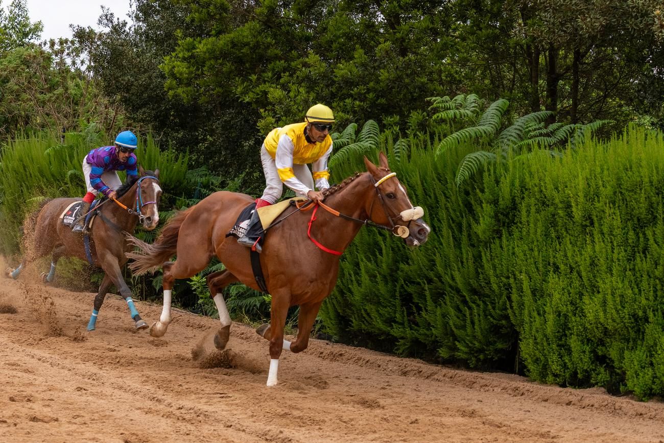 Carrera de caballos III Copa San Vicente Ferrer en Valleseco