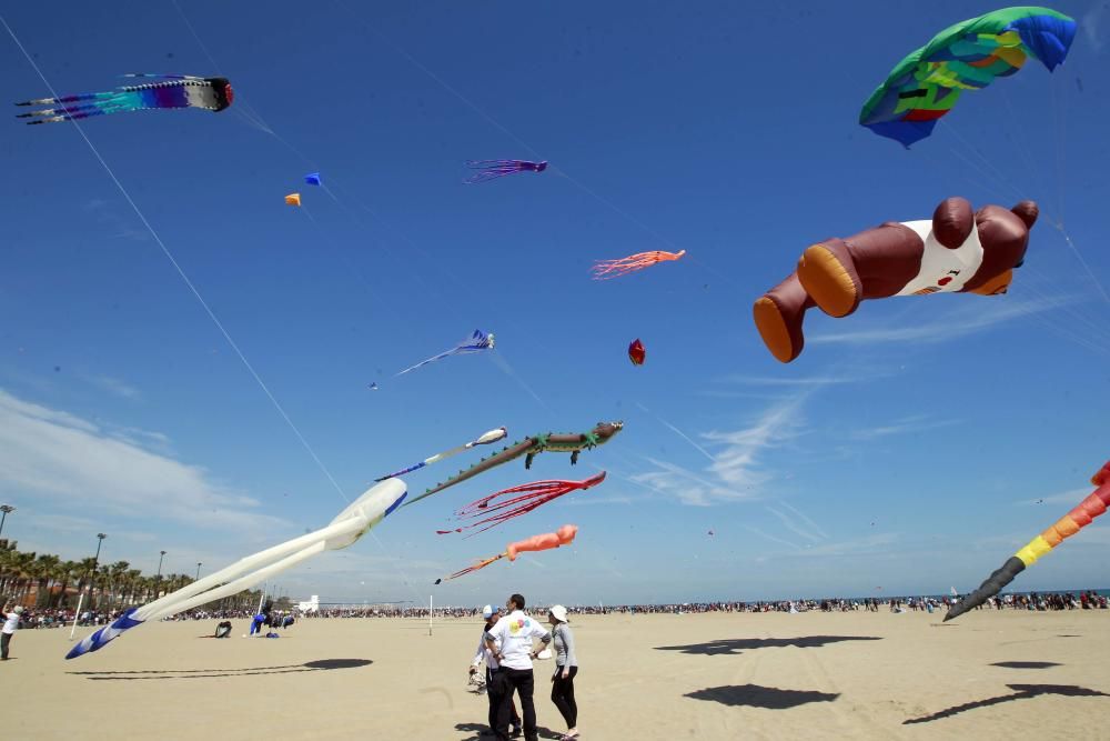 Festival del Viento 2016 en la Malva-rosa