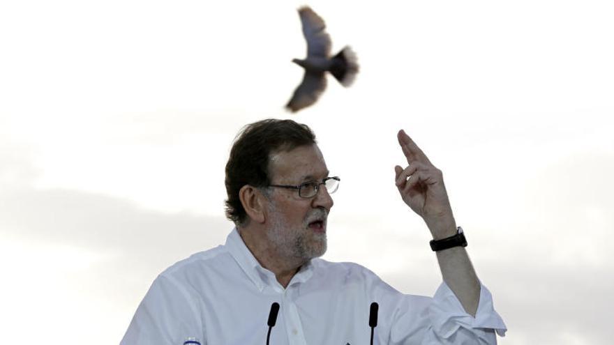 Rajoy, durante su mitin en Valencia con una paloma detrás.