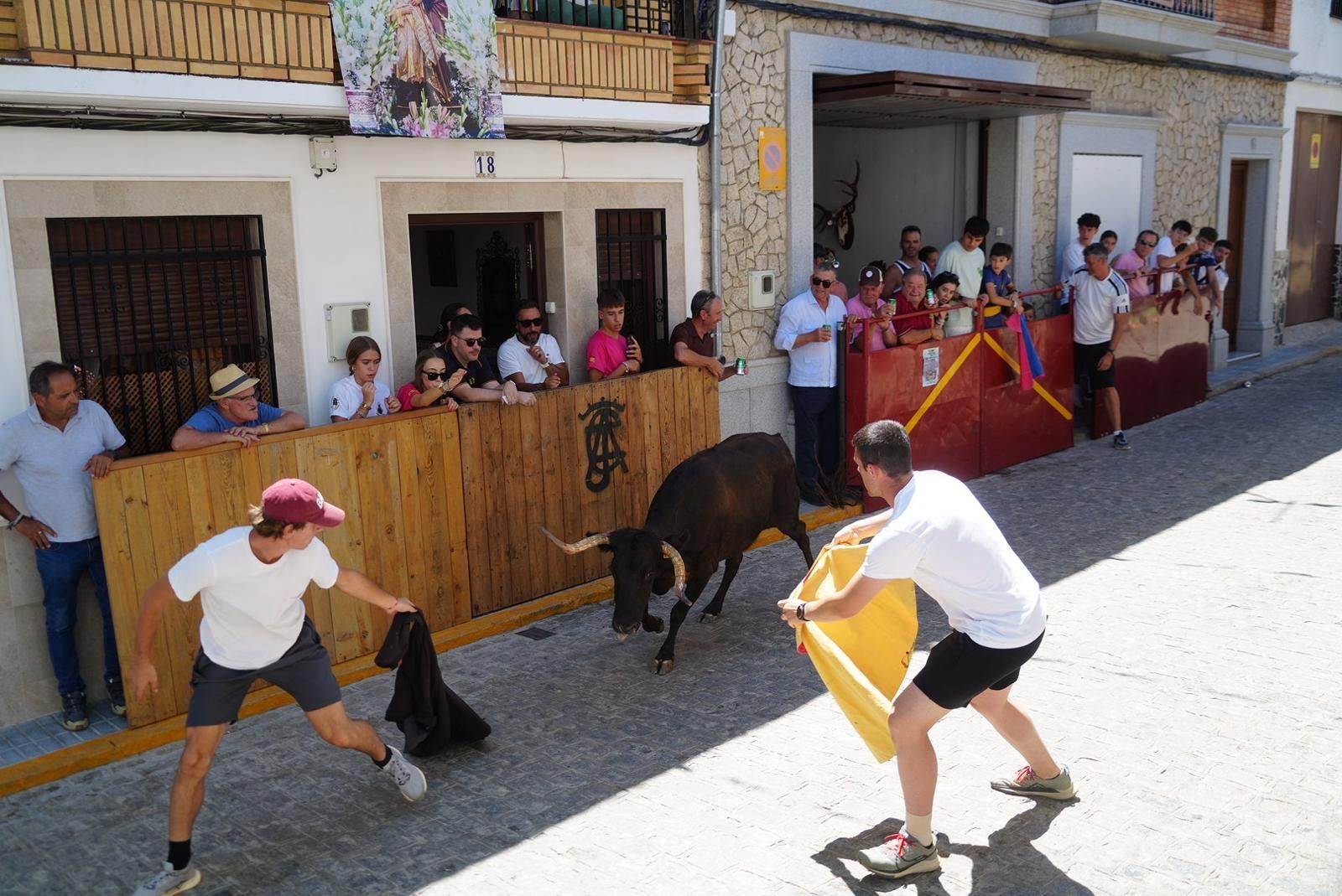 Gran ambiente, numeroso público y emoción en los encierros taurinos de El Viso