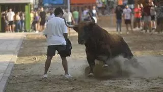 La nueva directriz sobre los ‘bous’ mantiene el veterinario en la fiesta