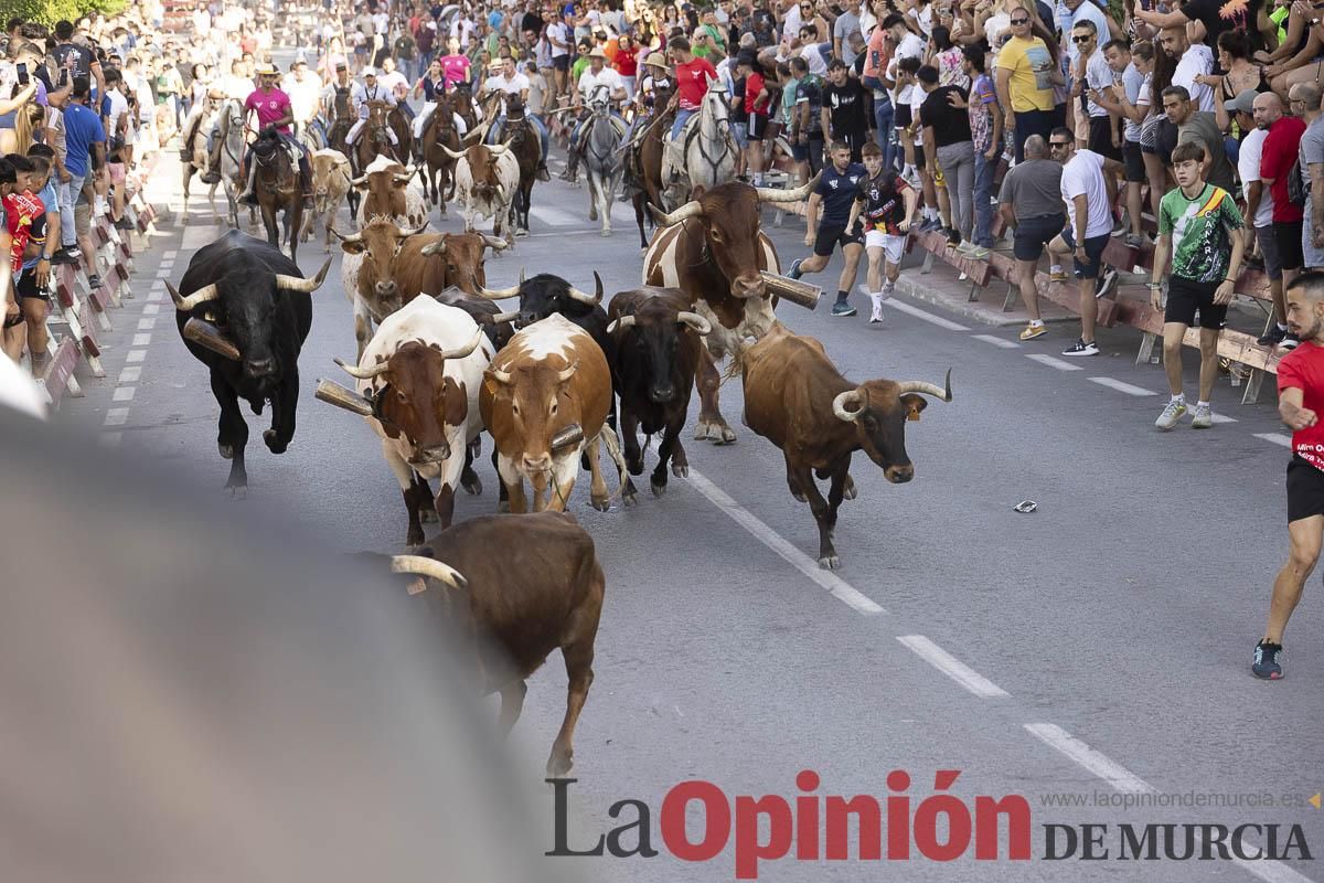 Quinto encierro de las Fiestas de Moratalla