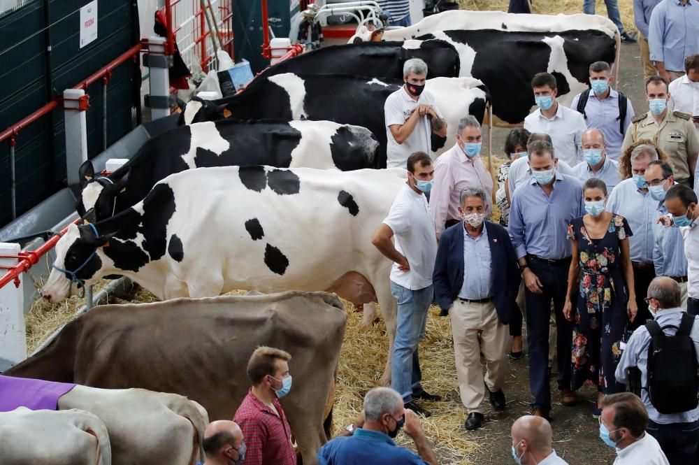 Los reyes, entre vacas y pastores para apoyar a la ganadería en Cantabria