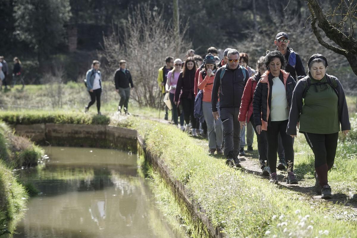 La Transéquia d'eguany se celebrarà el 15 de març