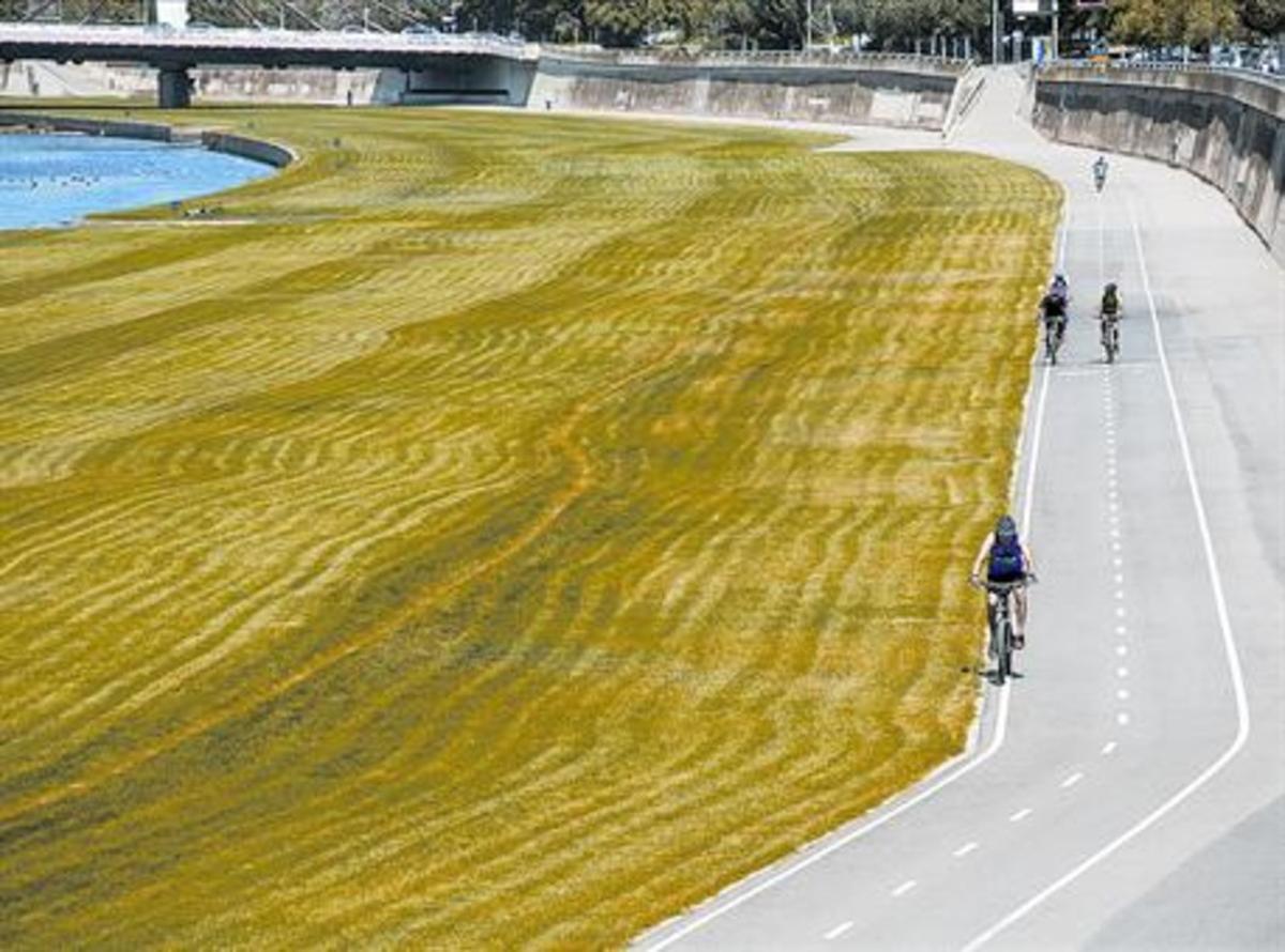 L’espai fluvial del Besòs. El AMB ha previst una sèrie d’actuacions de manteniment i inversions de recuperació ecològica d’aquest espai.