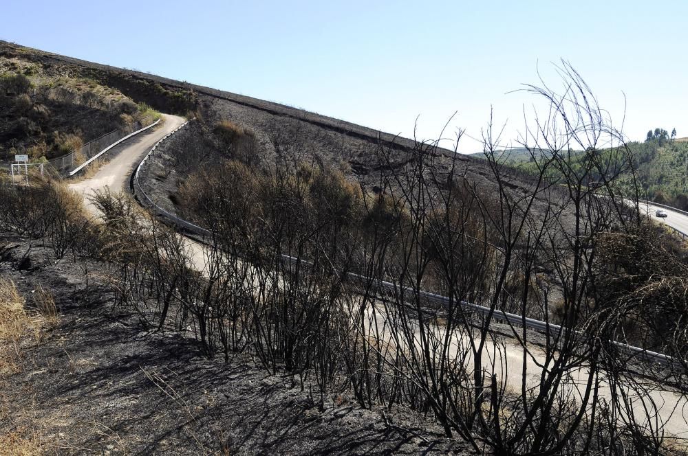 Incendios en Galicia | El fuego se reaviva en Nava