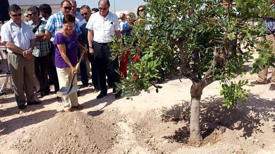 Arrancan las obras del mayor pulmón verde de San Vicente, el parque Noroeste