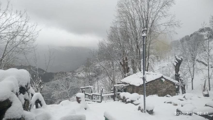 La nieve complica la jornada en la montaña: Pajares cerrado para camiones y 15 puertos con cadenas