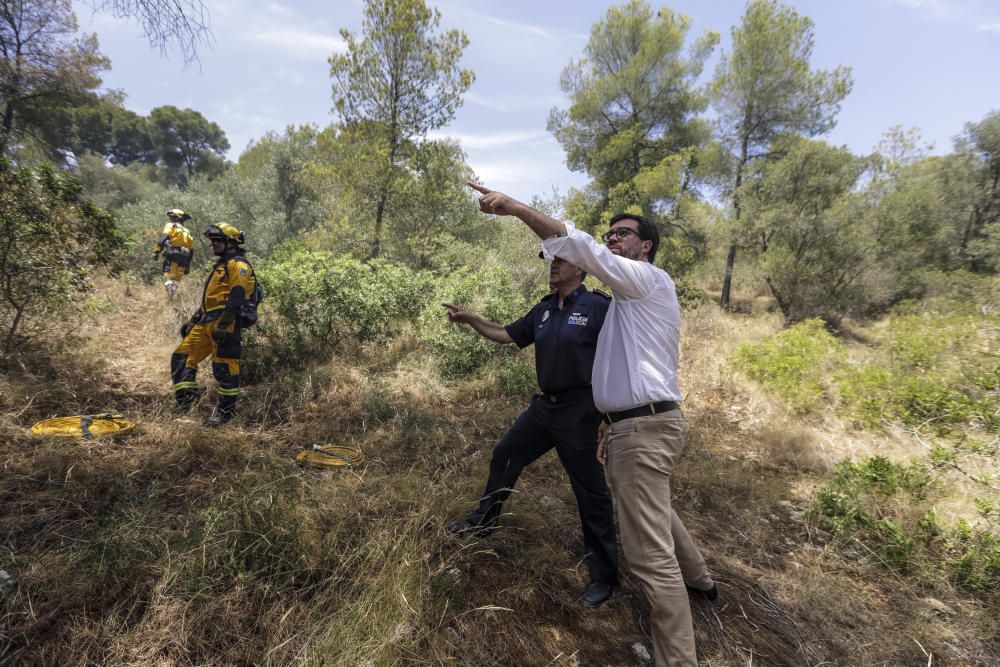 Incendio en el bosque de Bellver