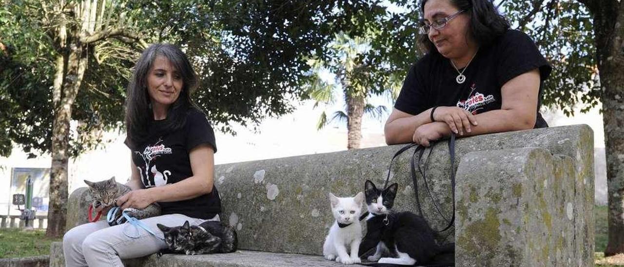 Almudena Froiz y Marimar Sotelo posan junto a varios cachorros de las casas de acogida. // Bernabé/ Javier Lalín