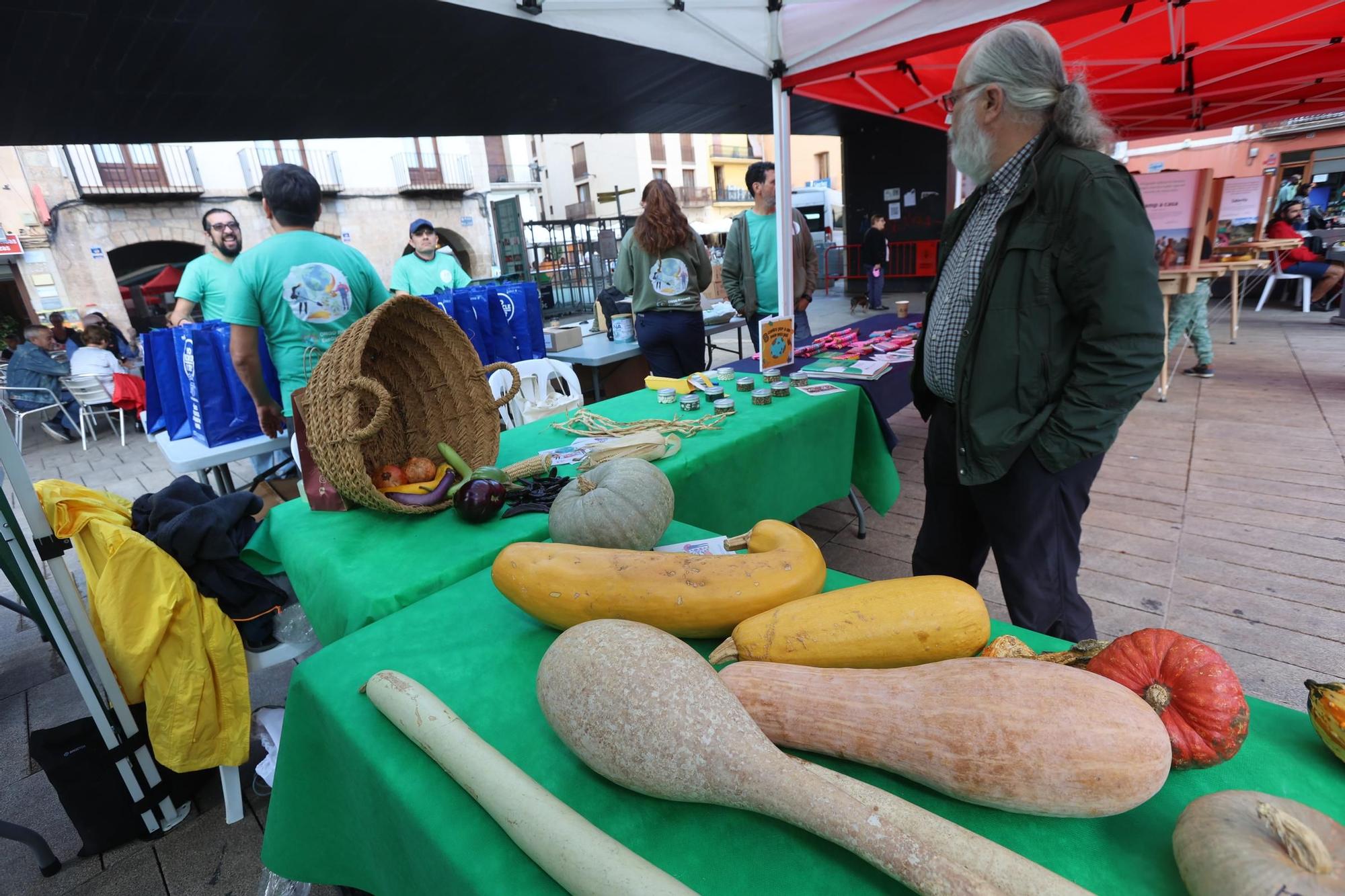 La segunda edición de la Feria Agroecológica de Vila-real, en imágenes