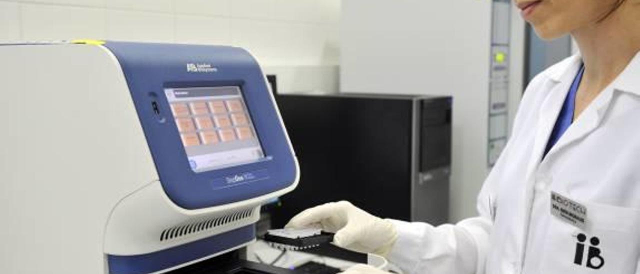 Un técnico en el laboratorio del Instituto Bernabéu.