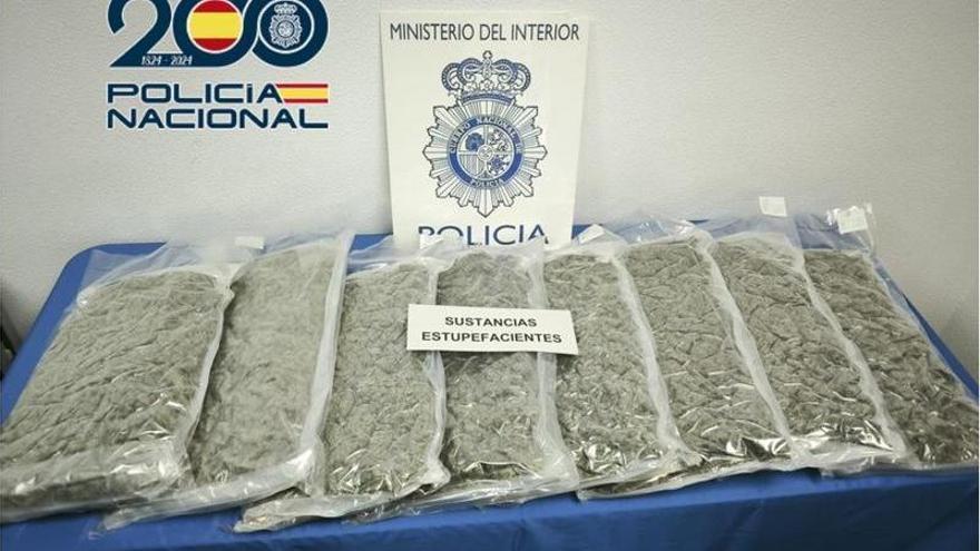 Cogollos de marihuana