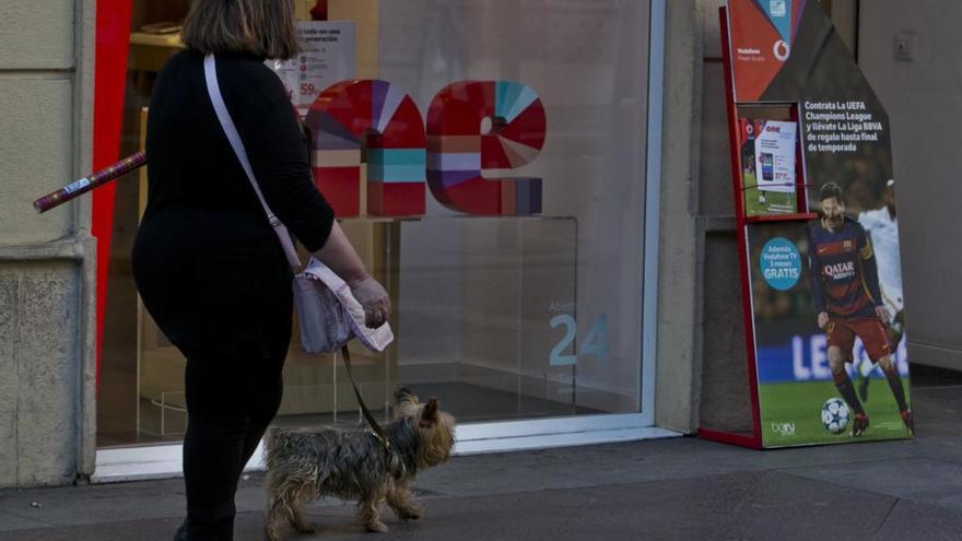 Animales de compañía &quot;bienvenidos&quot; a los comercios de Torrevieja