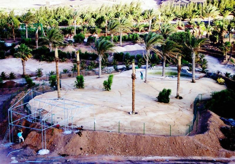 FUERTEVENTURA - Gacelas nacidas en Oasis Park -   | 05/05/2018 | Fotógrafo: Gabriel Fuselli