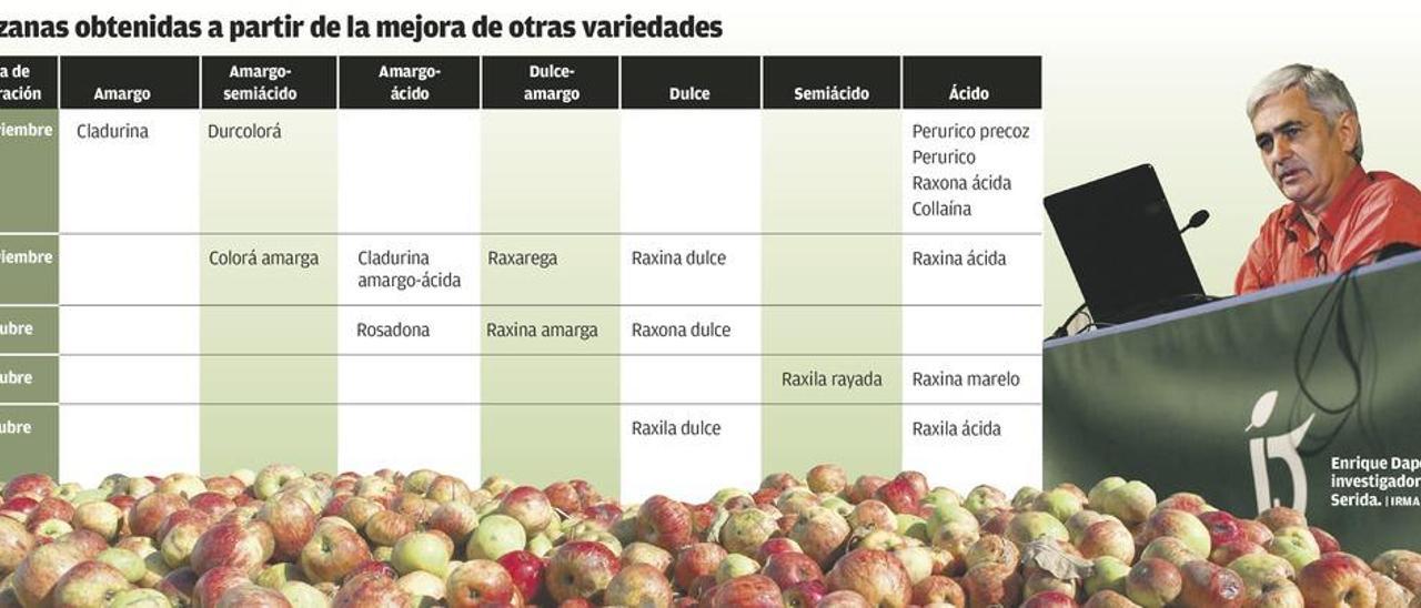 Las nuevas manzanas de &quot;laboratorio&quot; producen más y rompen con la vecería