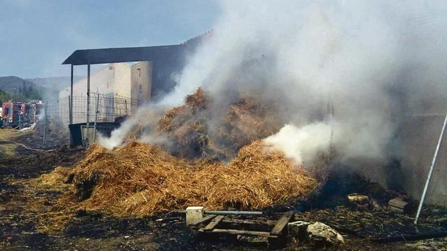 Incendio en una hípica en Inca