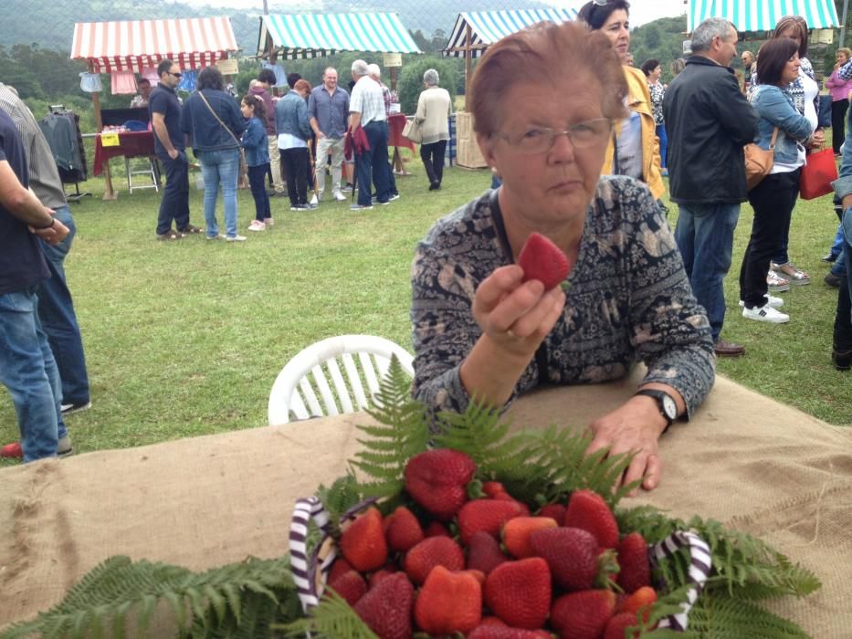 Festival de la fresa en Candamo