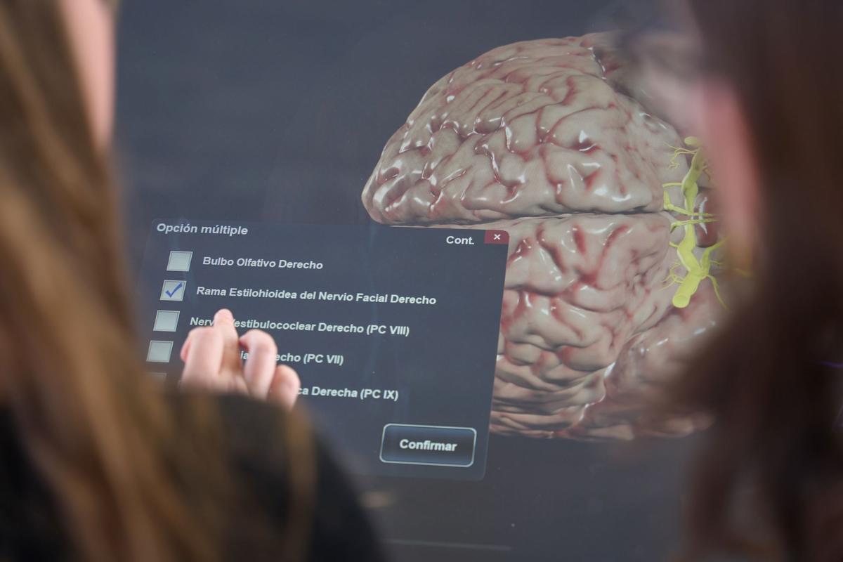 La USJ ha celebrado en el campus la primera edición de la competición académica Anatomage Table.