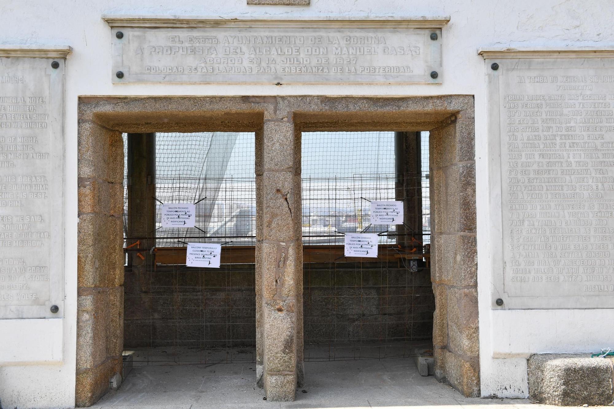 Reapertura del jardín de San Carlos