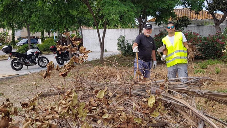 Voluntarios desbrozan una de las zonas verdes anexas a la rotonda de Las Petunias, en San Pedro.