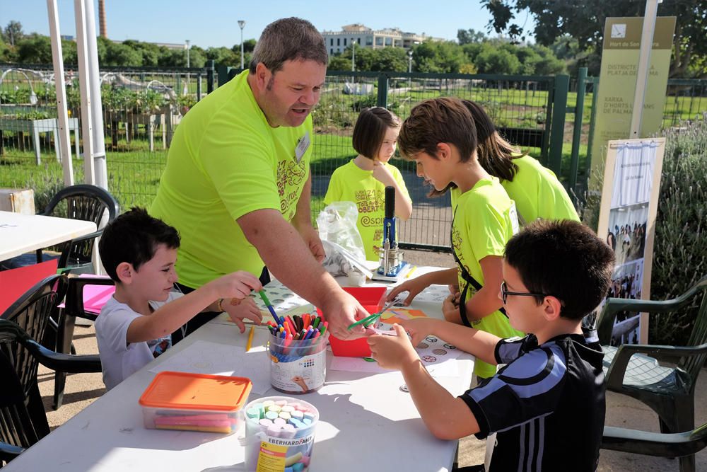 III cursa solidària 'Tots amb OBERT'