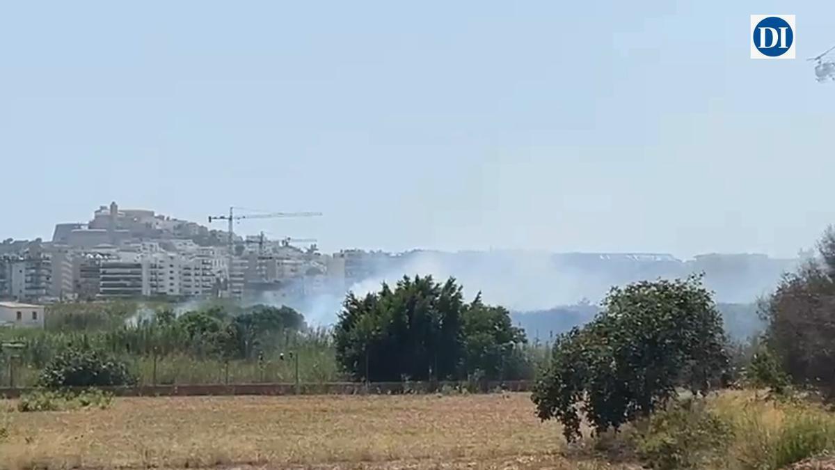 Declarado un incendio forestal de gravedad 1 en ses Feixes