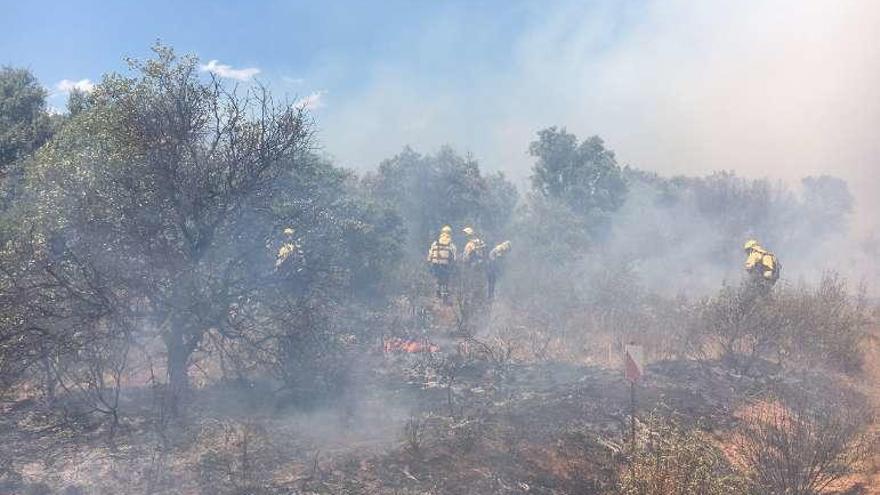 Un incendio el pasado año en la provincia.