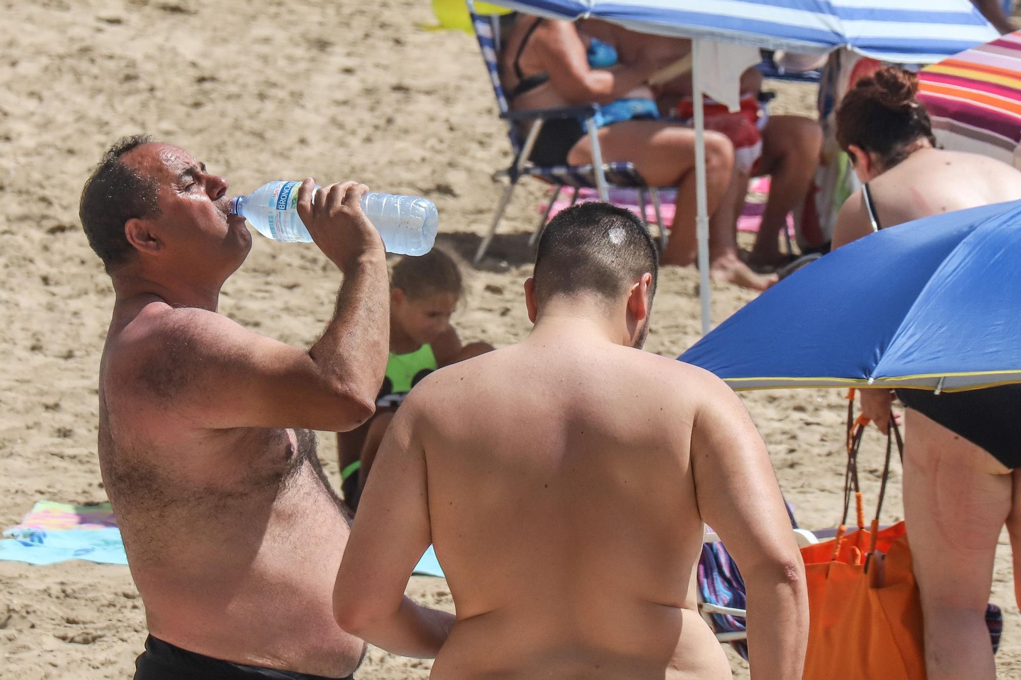 Costas licita la elaboración del proyecto de regeneración de la playa del Cura de Torrevieja