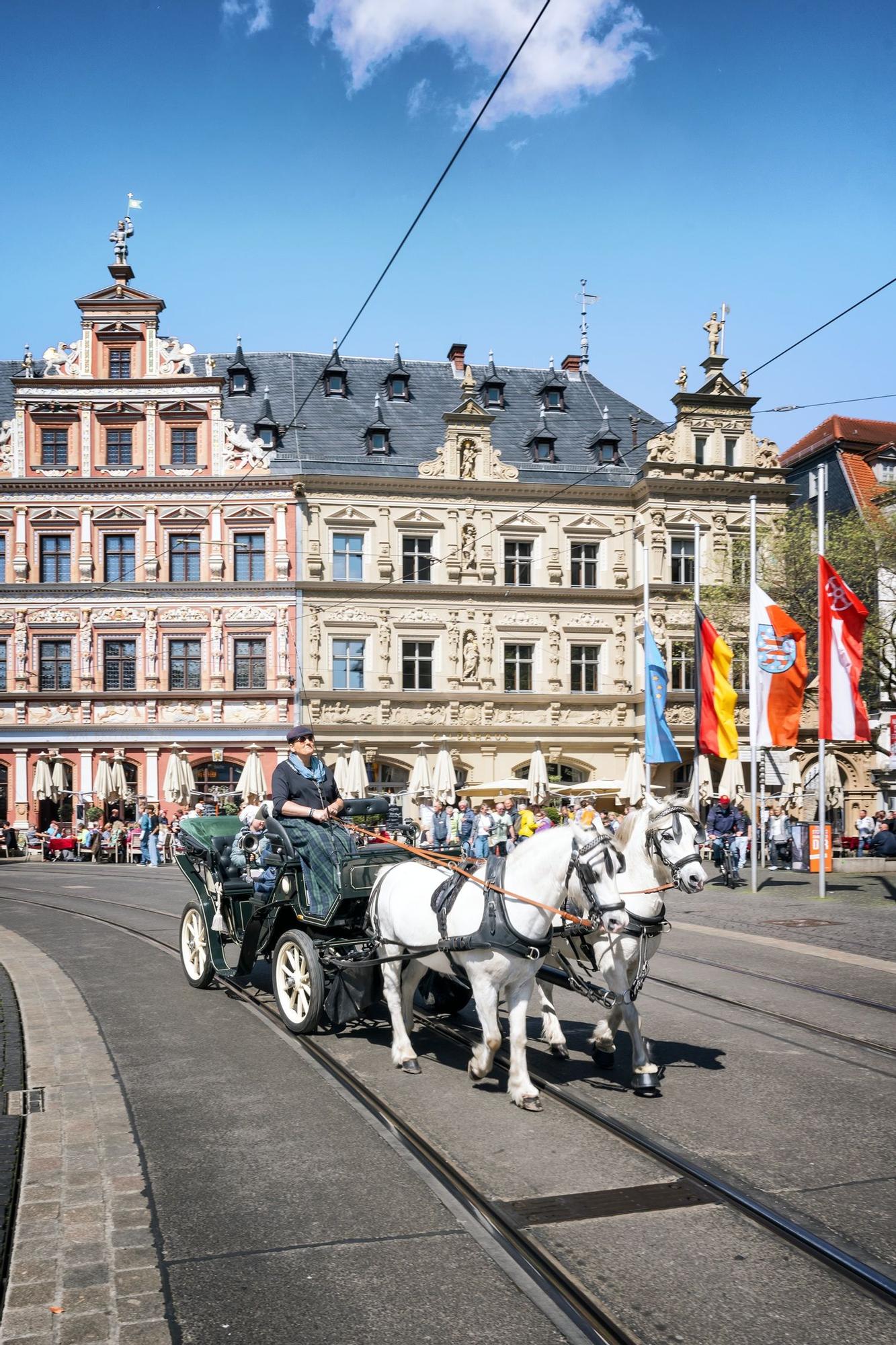 En calesa por la plaza Fischmarkt de Érfurt con la Haus zum Breiten Herd al fondo.