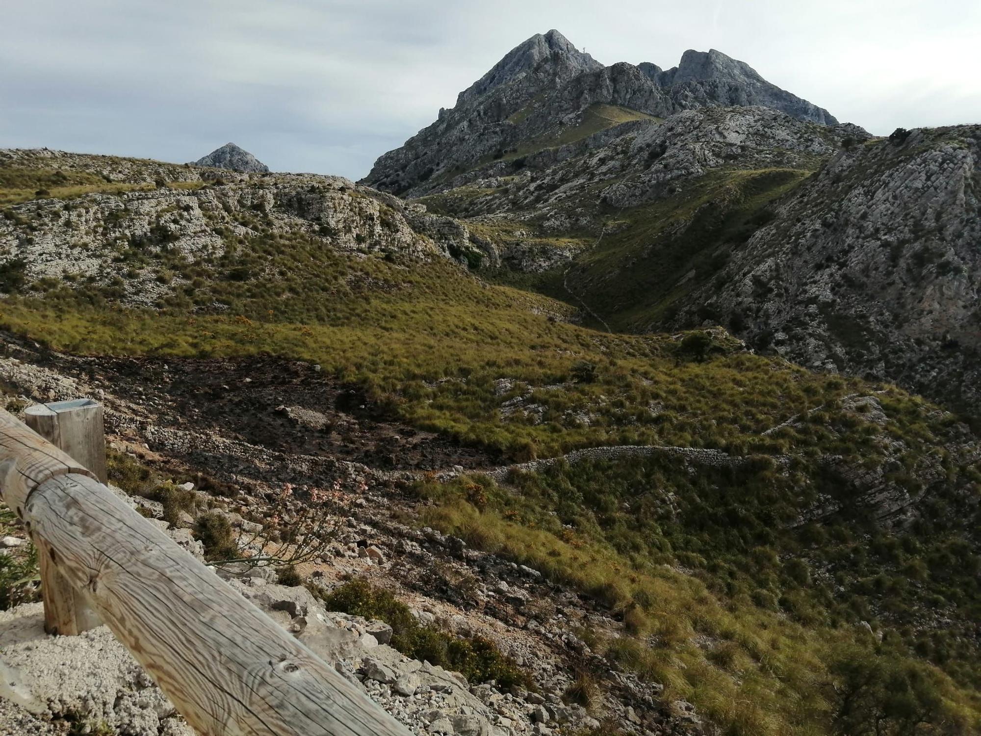 La carretera de sa Calobra, cortada por un incendio en el Nus de sa Corbata