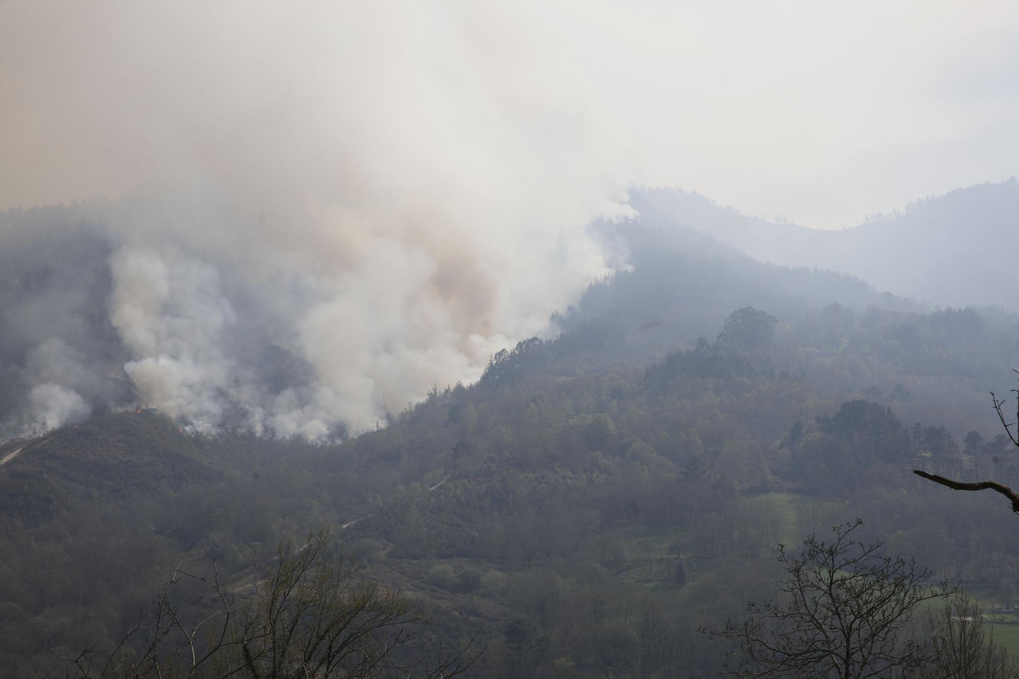 La lucha contra el fuego en el incendio entre Nava y Piloña