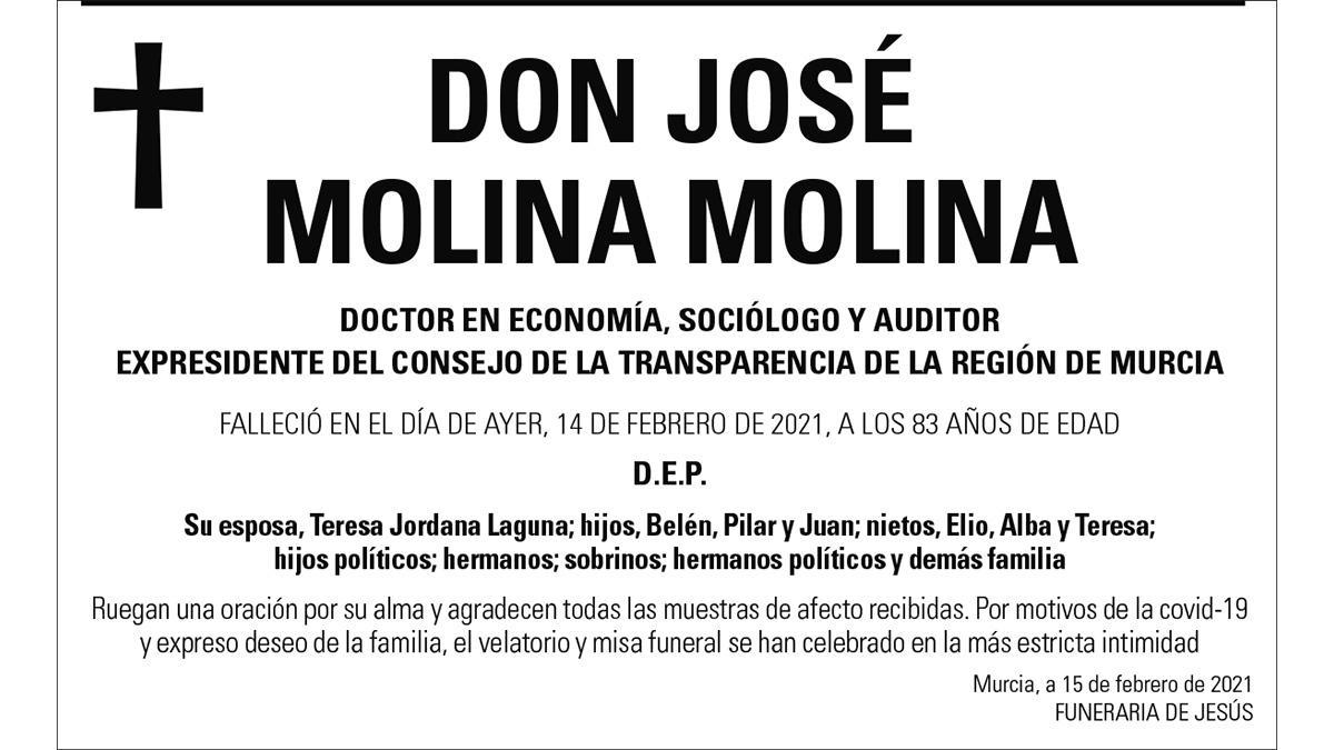 D. José Molina Molina