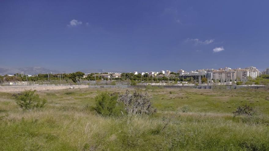 Construirán un pabellón deportivo para dos mil personas en el solar del Lluís Sitjar