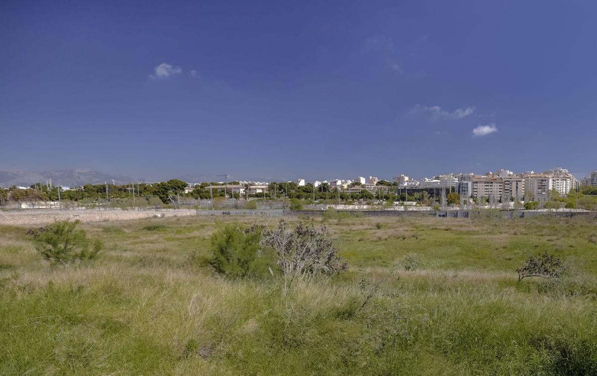 Solar en el que se levantaba el antiguo Lluís Sitjar. | B. RAMON