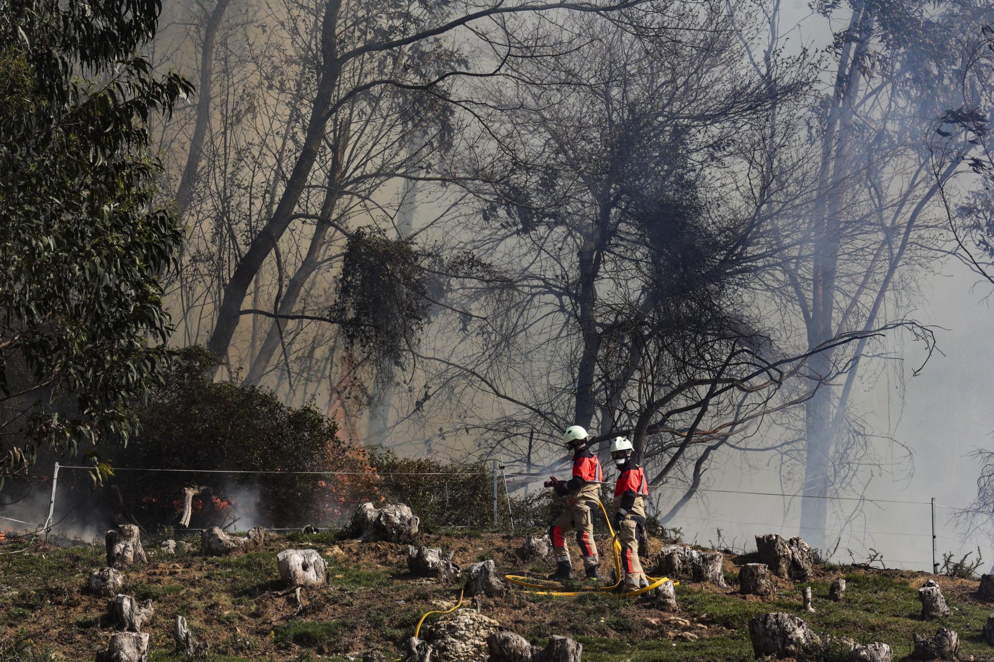 Los bomberos trabajan en el monte Naranco contra las llamas