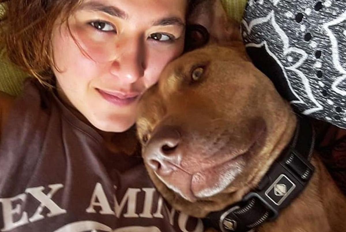 Un pastor belga enfronta judicialment el seu propietari i l’amiga que l’hi va deixar tres anys